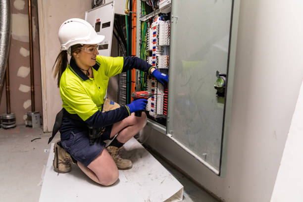 Best Electric Panel Repair  in Linden, AZ